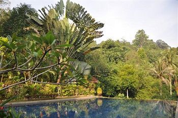 Tiger Rock Hotell Pangkor Island Exteriör bild